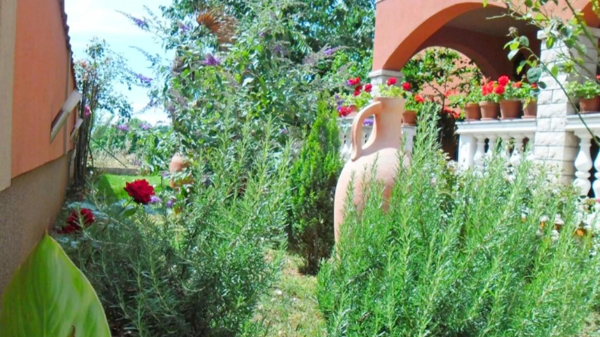 Apartments Anto Pula